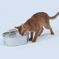 UAHPET 2025 Upgrade Visible Stainless Steel Cat Water Fountain Pro