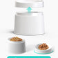 food separation of elevated cat bowl