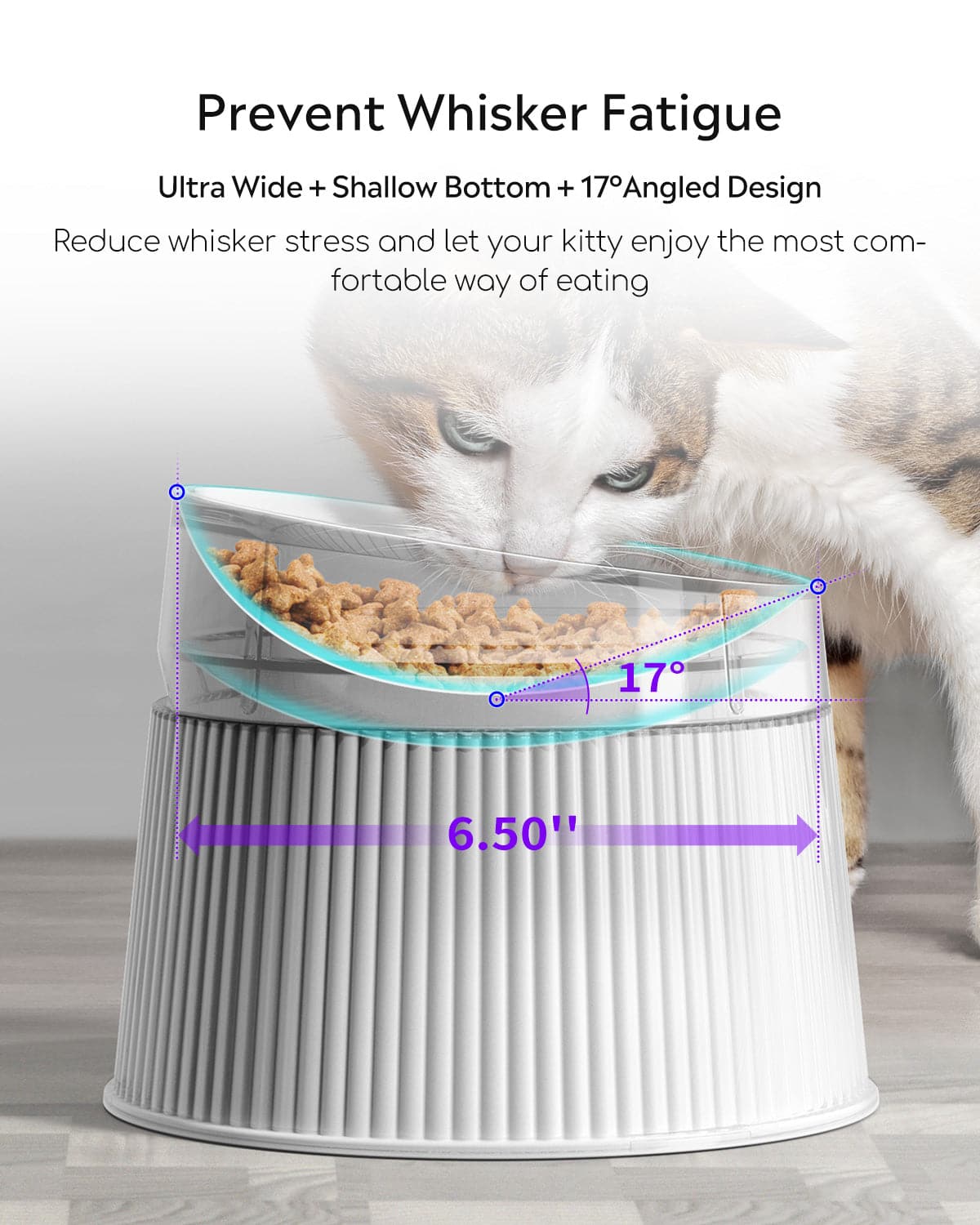 cat bowls angle