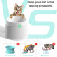 different type of cat bowl