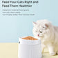 white cat
